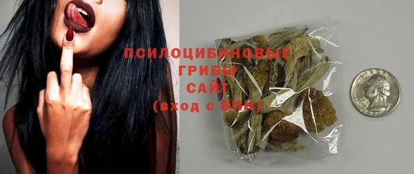 дживик Бородино