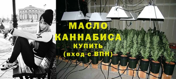 дживик Бородино