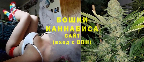 дживик Бородино