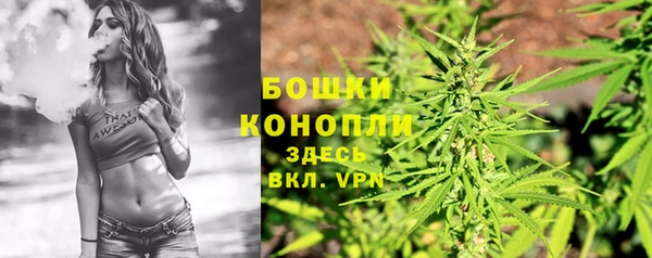 ПСИЛОЦИБИНОВЫЕ ГРИБЫ Богданович