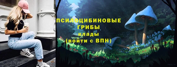 дурь Россошь