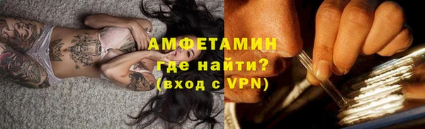 ПСИЛОЦИБИНОВЫЕ ГРИБЫ Богданович