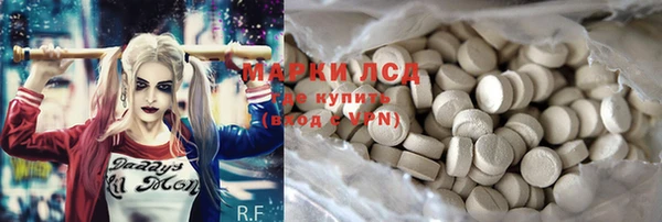 ПСИЛОЦИБИНОВЫЕ ГРИБЫ Богданович