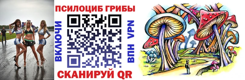 Псилоцибиновые грибы Magic Shrooms Старица
